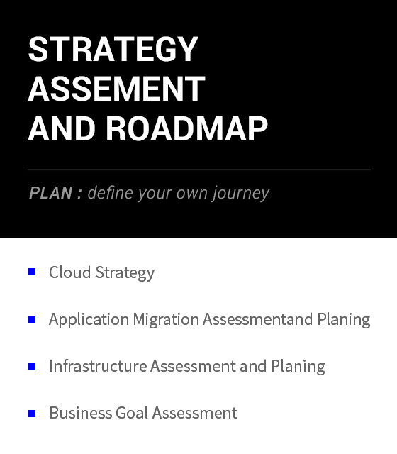 STRATEGY ASSEMENT AND ROADMAP